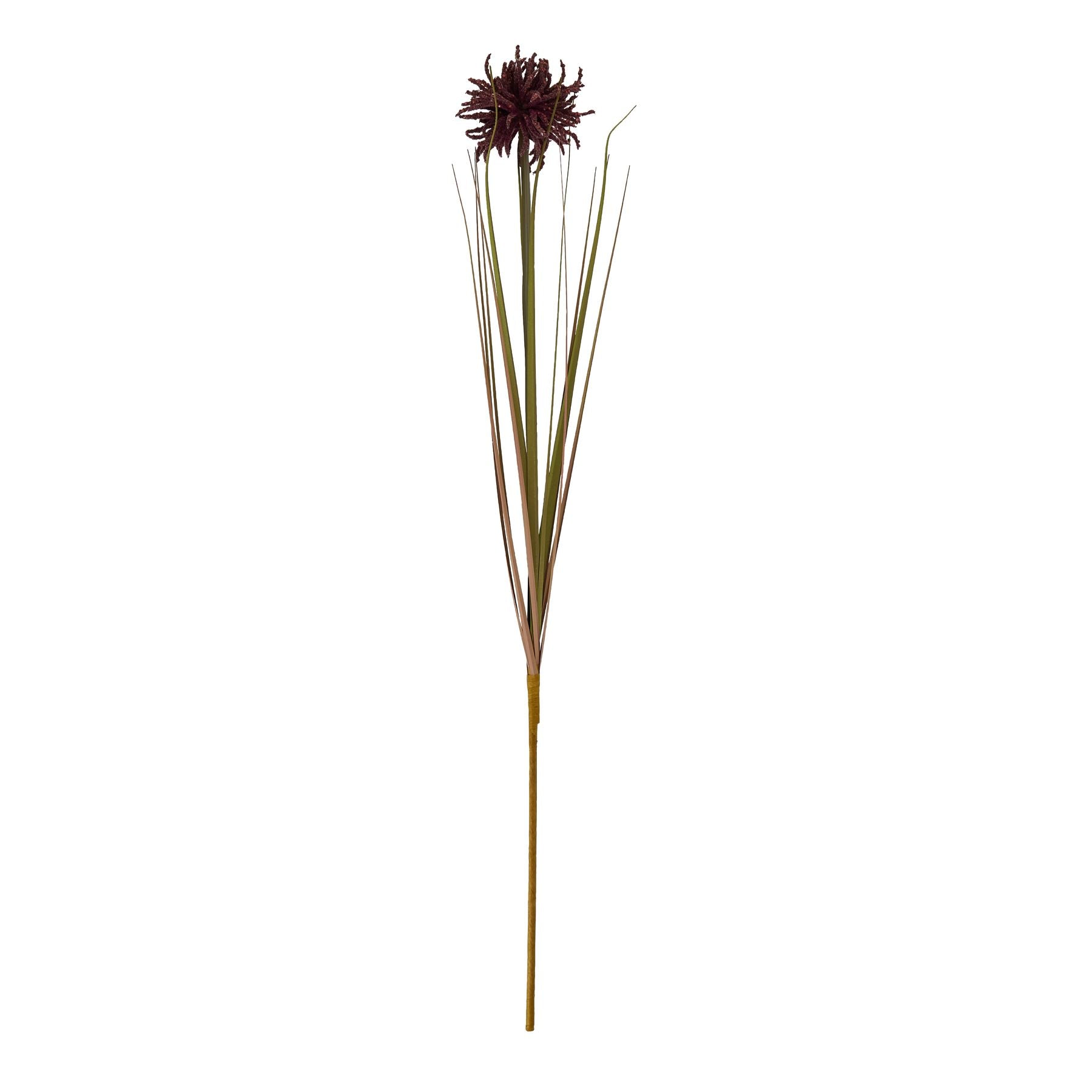 Burgundy Aster Spider Chrysanthemum Stem featuring intricate layered petals, rich burgundy color, and slender green stems, ideal for elegant arrangements.