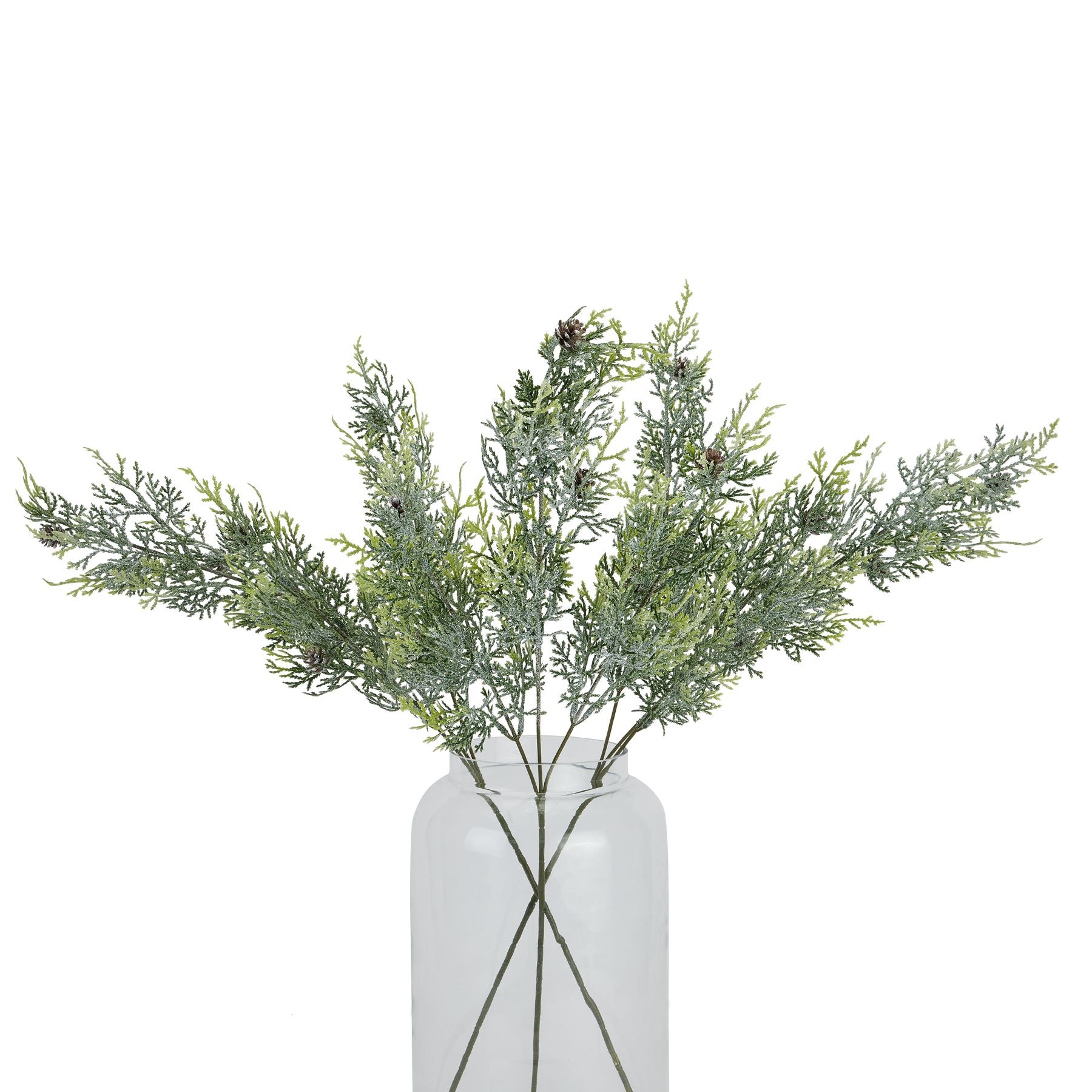 Frosted Pine Tall Stem With Pinecones - Christmas Decorations from the Quanta Home collection.