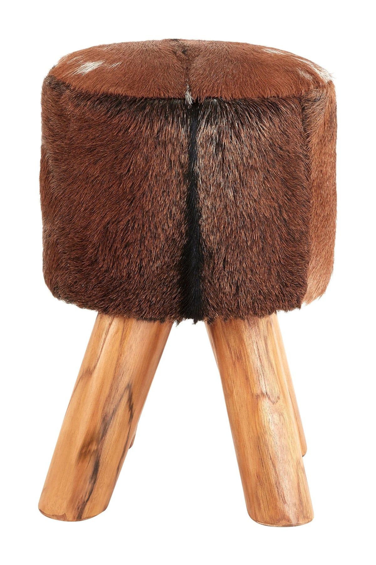 Premier Housewares product image