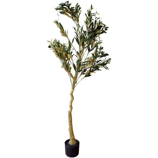 Calabria Olive Tree - All Artificial Potted Plants from the Quanta Home collection.
