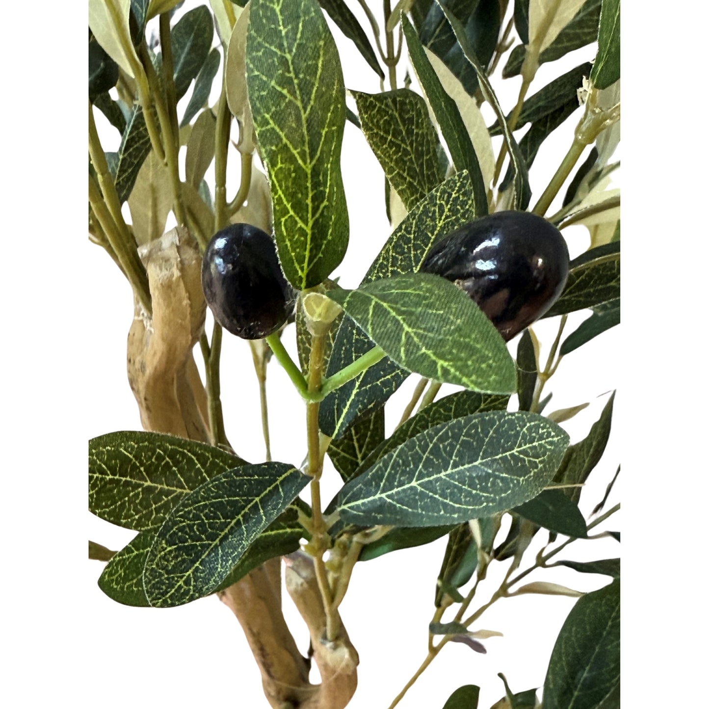 Calabria Small Olive Tree - All Artificial Potted Plants from the Quanta Home collection.