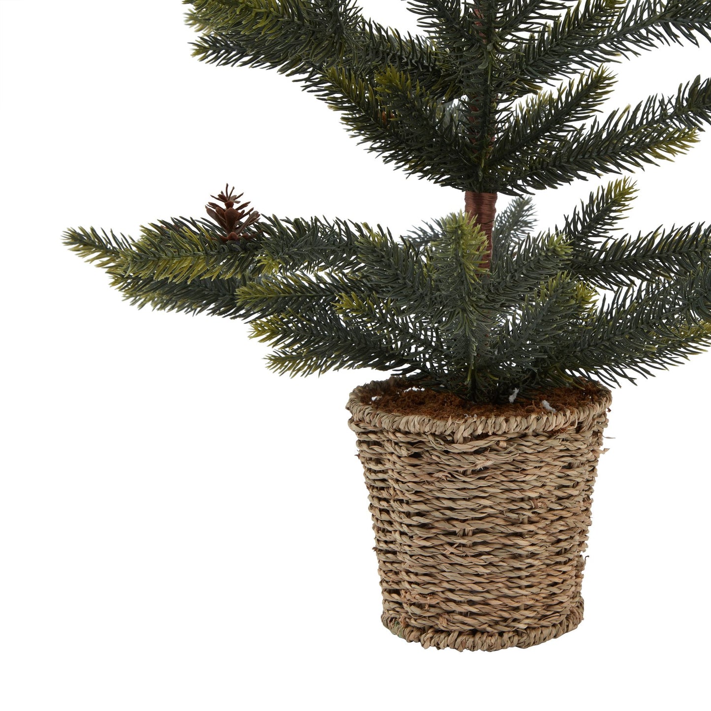 Medium Spruce Tree With Wicker Basket - Festive Flowers & Foliage from the Quanta Home collection.