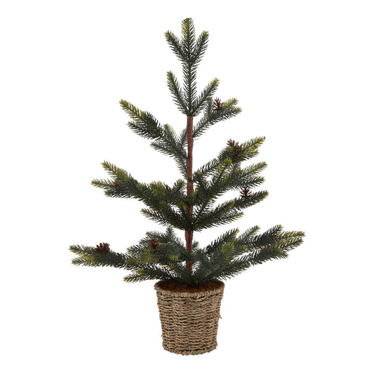 Medium Spruce Tree With Wicker Basket - Festive Flowers & Foliage from the Quanta Home collection.