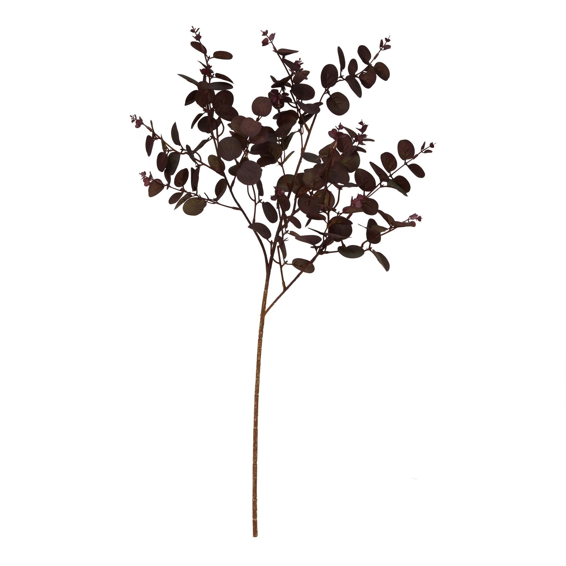 Deep burgundy eucalyptus stem with rich, sculptural leaves, perfect for modern or classic decor, adding height and elegance.