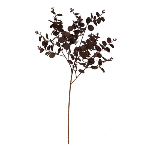 Deep burgundy eucalyptus stem with rich, sculptural leaves, perfect for modern or classic decor, adding height and elegance.