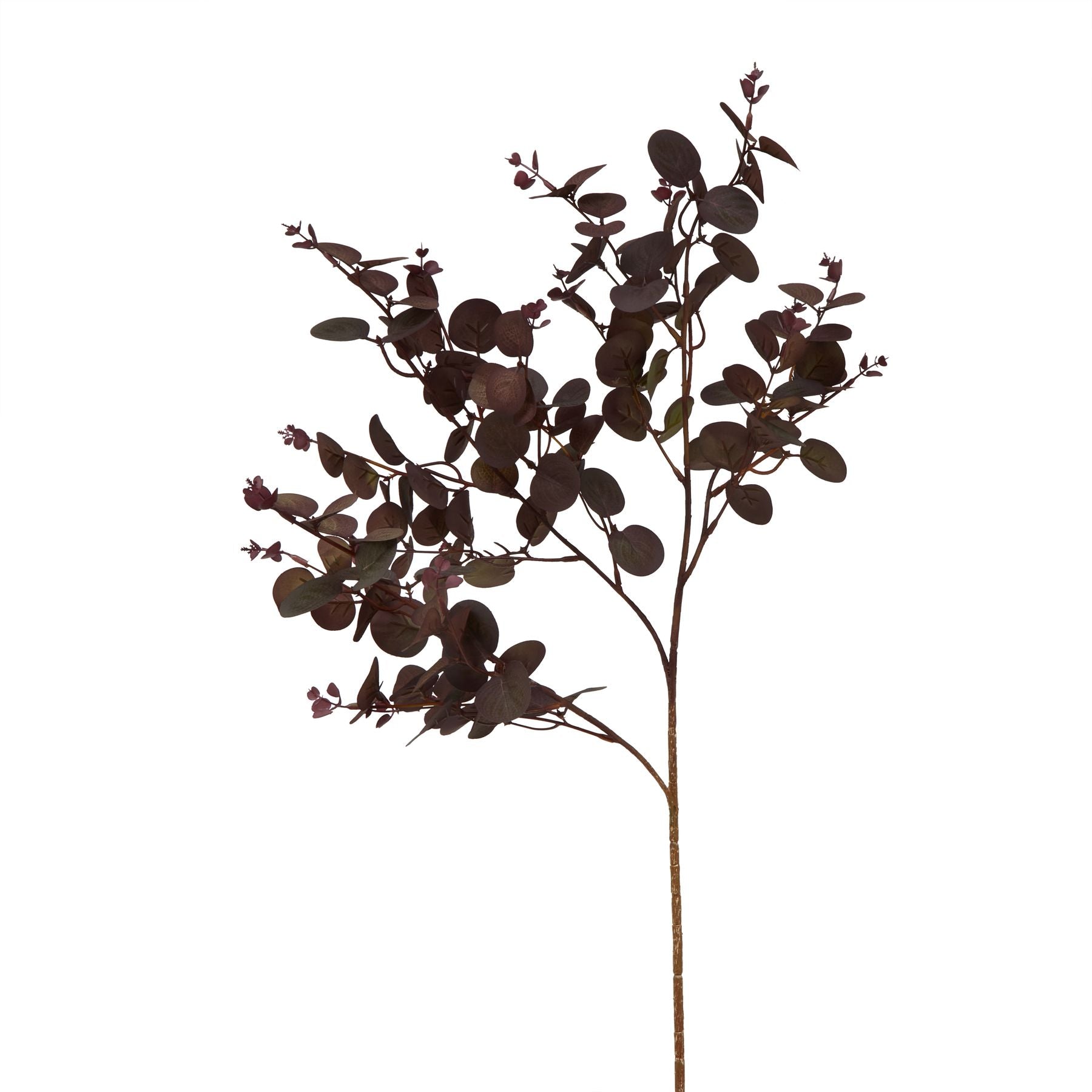 Deep burgundy eucalyptus stem with sculptural leaves, offering sophisticated elegance for seasonal displays in modern or classic spaces.