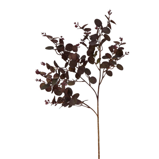 Burgundy Eucalyptus Bunch - Autumn Stems from the Quanta Home collection.