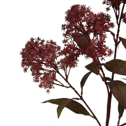 Burgundy smokebush stem featuring delicate, hazy flowers and dark green leaves, creating an elegant, luxurious centerpiece.