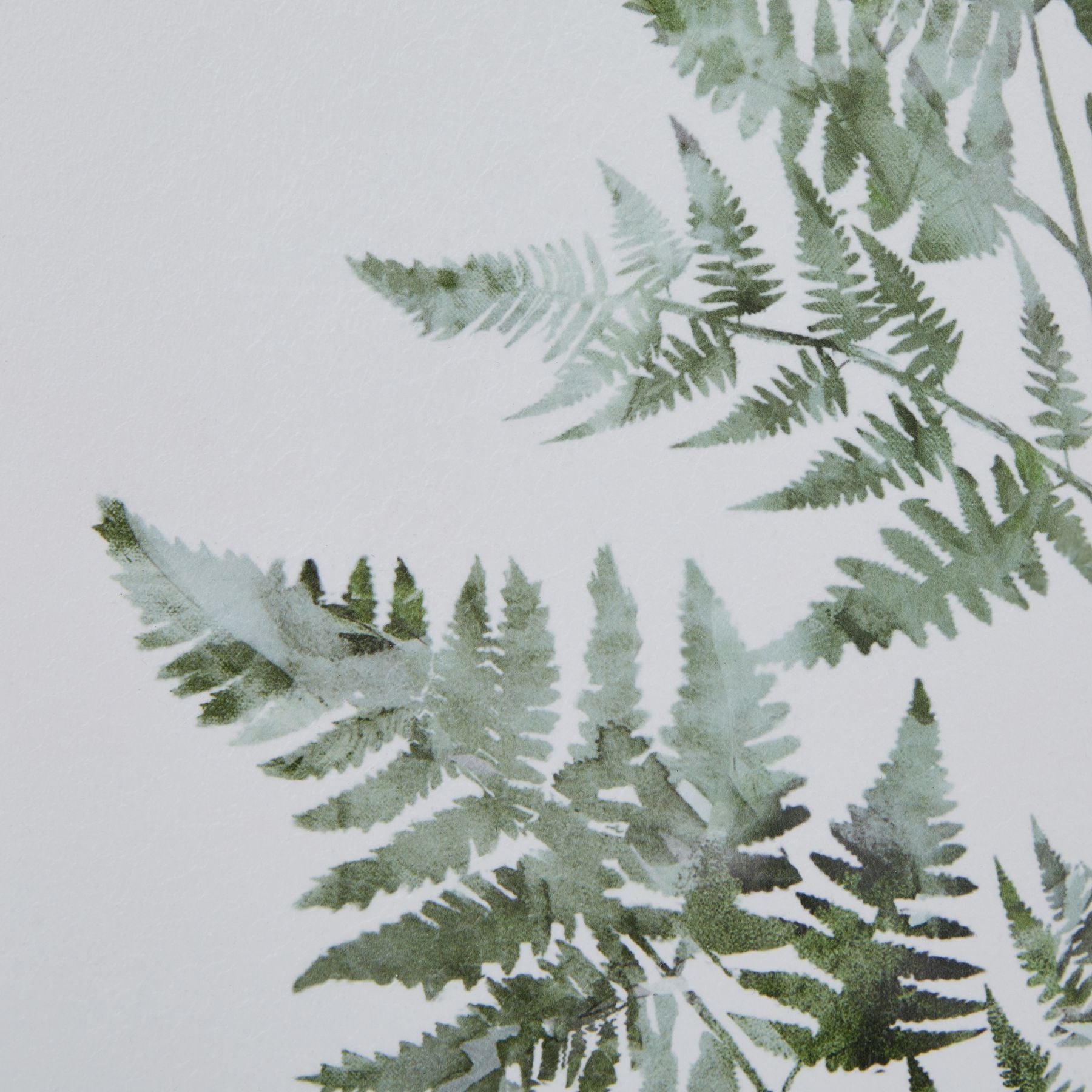 Watercolour Bracken Fern In Washed Wood Frame - Printed Art from the Quanta Home collection.