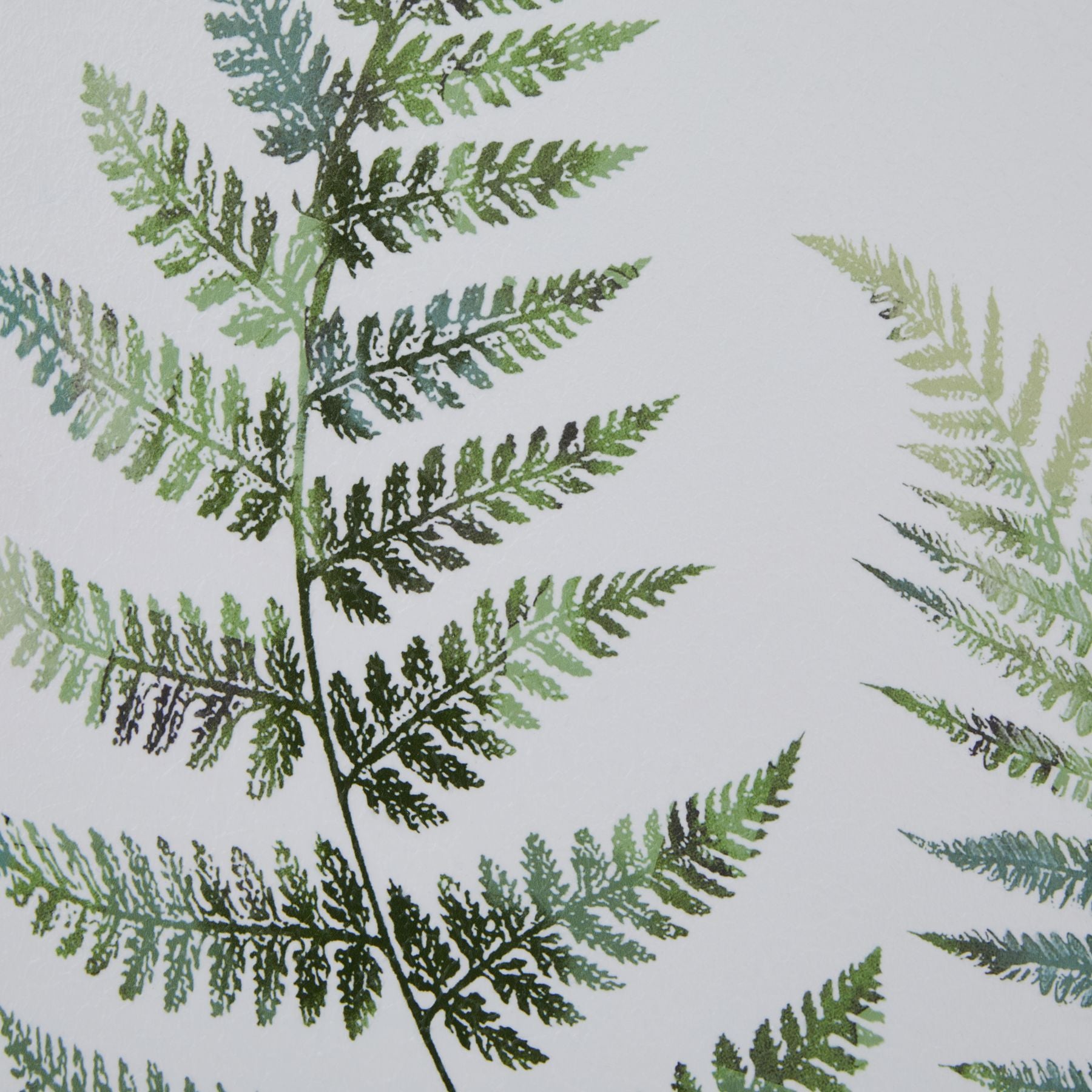 Watercolour Fern Duo In Washed Wood Frame - Printed Art from the Quanta Home collection.