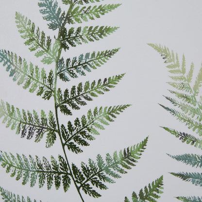 Watercolour Fern Duo In Washed Wood Frame - Printed Art from the Quanta Home collection.
