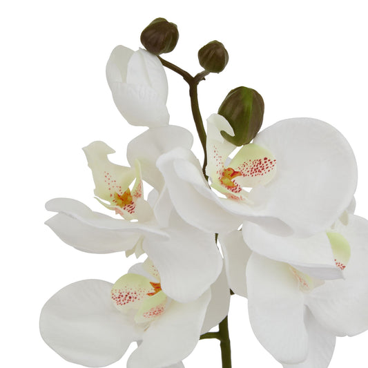 Realistic white butterfly orchid stem with delicate petals and subtle red speckles, ideal for elegant decor.