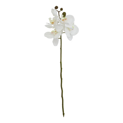 White Butterfly Orchid Stem - Single Stem Flowers from the Quanta Home collection.