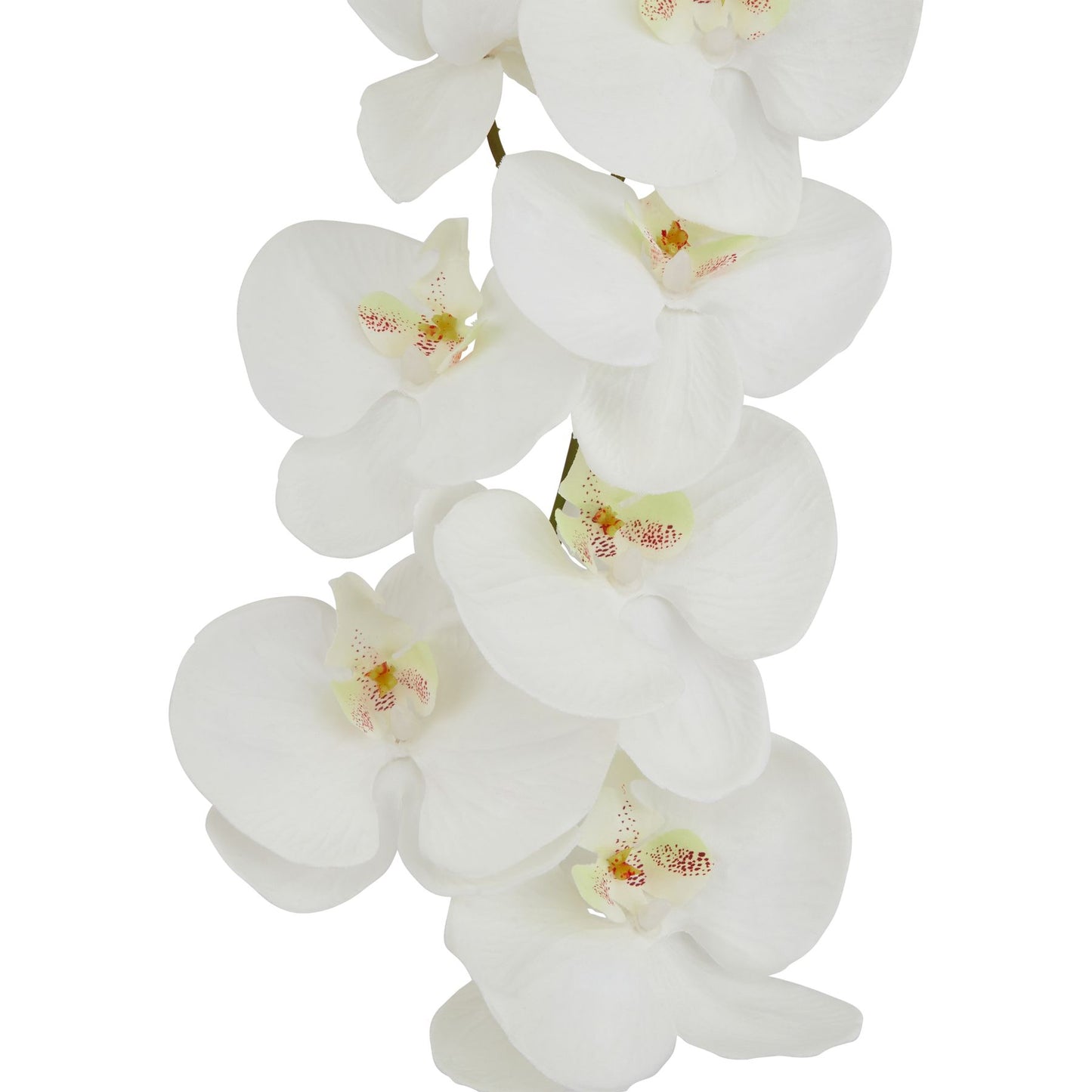 Tall white butterfly orchid stem with lifelike petals and detailed textures, standing 103cm for elegant interior decor.