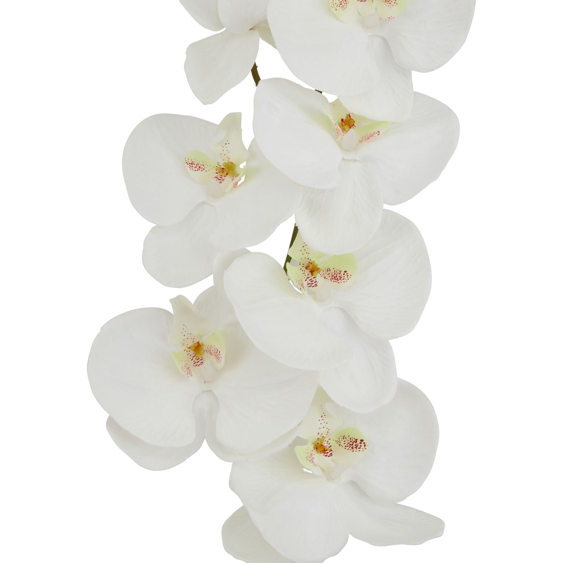 Tall white butterfly orchid stem with lifelike petals and detailed textures, standing 103cm for elegant interior decor.