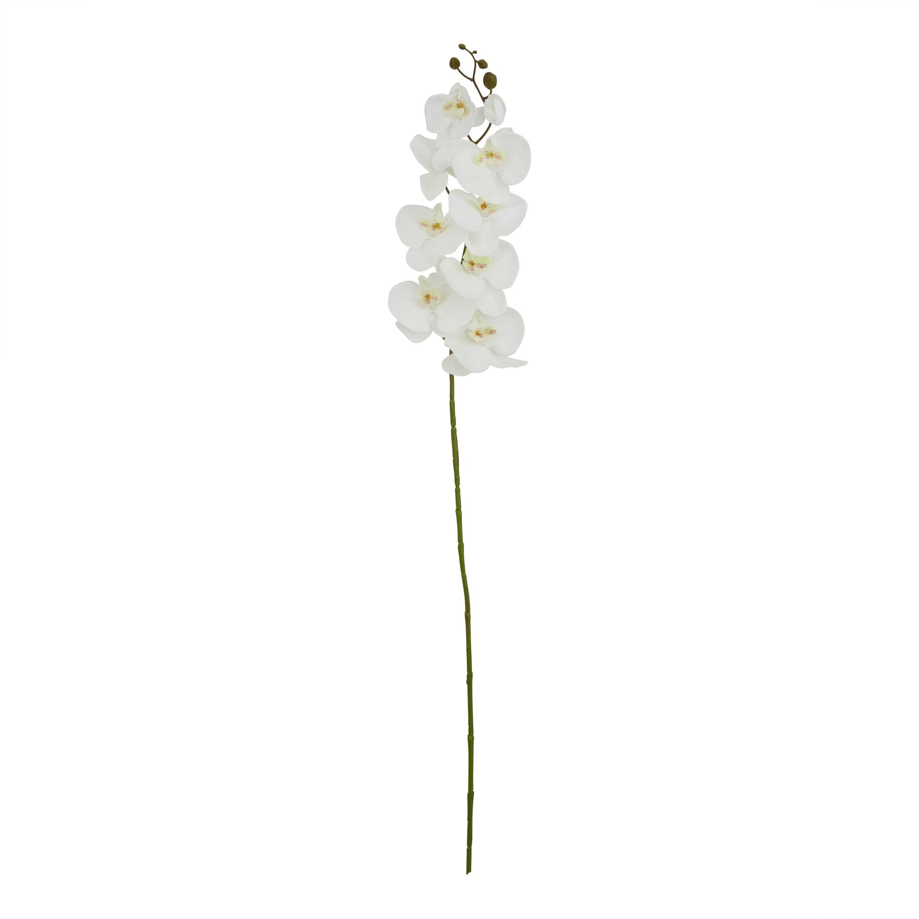 Tall white butterfly orchid stem, 103cm high, featuring lifelike petals and rich detailing, perfect for elegant decor.