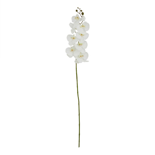 Tall White Butterfly Orchid Stem - Single Stem Flowers from the Quanta Home collection.