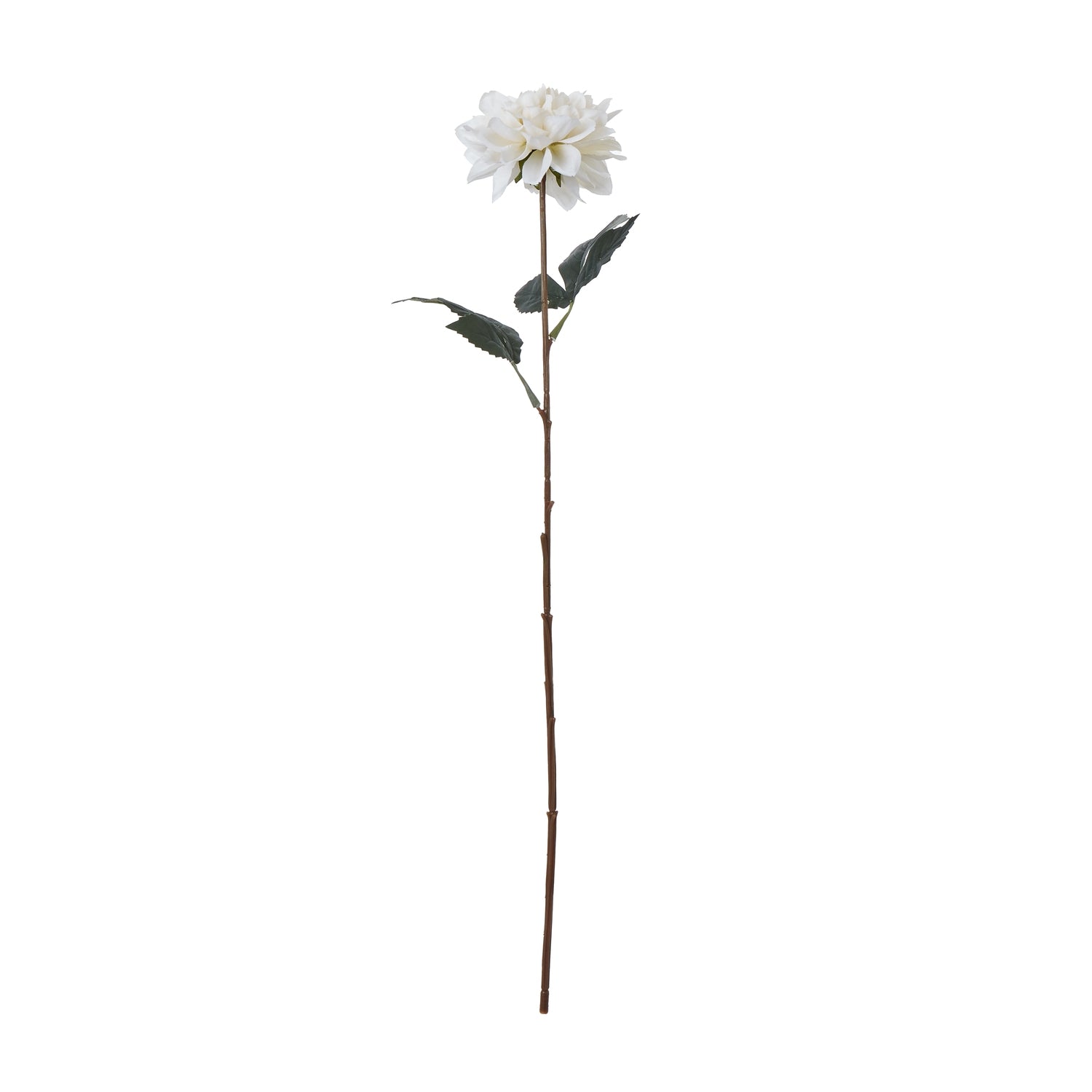 Elegant tall white dahlia on a slender stem, featuring lifelike petals and vibrant green leaves, perfect for stylish decor.