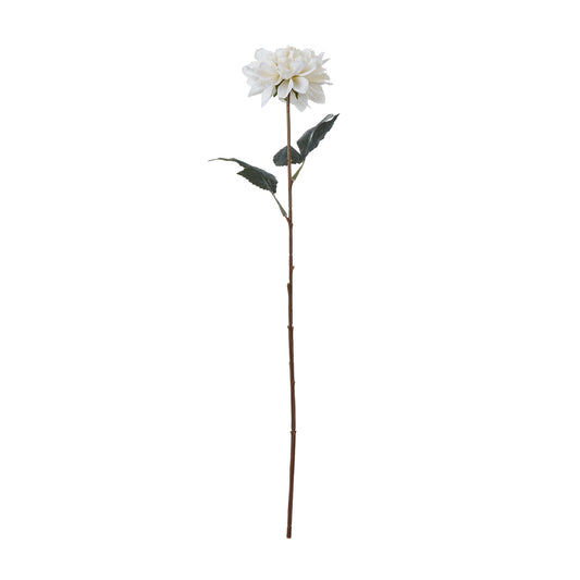 The Natural Garden Collection Tall White Dahlia - Single Stem Flowers from the Quanta Home collection.
