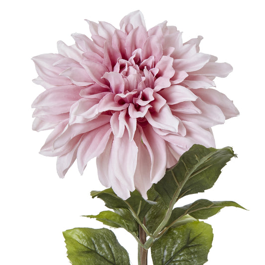 Realistic pink dahlia with layered petals and lush green leaves, exuding elegance for effortless home decor.