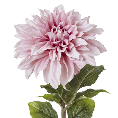 The Natural Garden Collection Pink Dahlia - Single Stem Flowers from the Quanta Home collection.