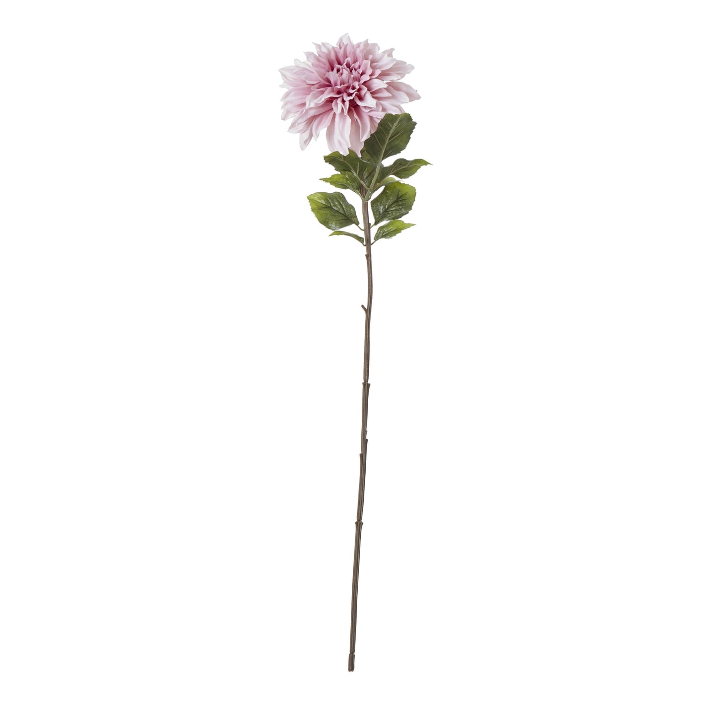 Lifelike Pink Dahlia flower with soft pink petals and green foliage on a slender stem, ideal for elegant home decor.
