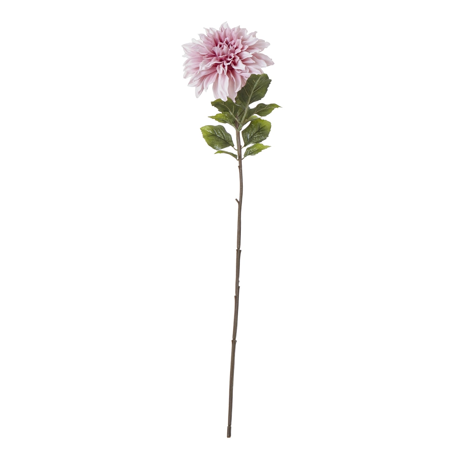Lifelike Pink Dahlia flower with soft pink petals and green foliage on a slender stem, ideal for elegant home decor.