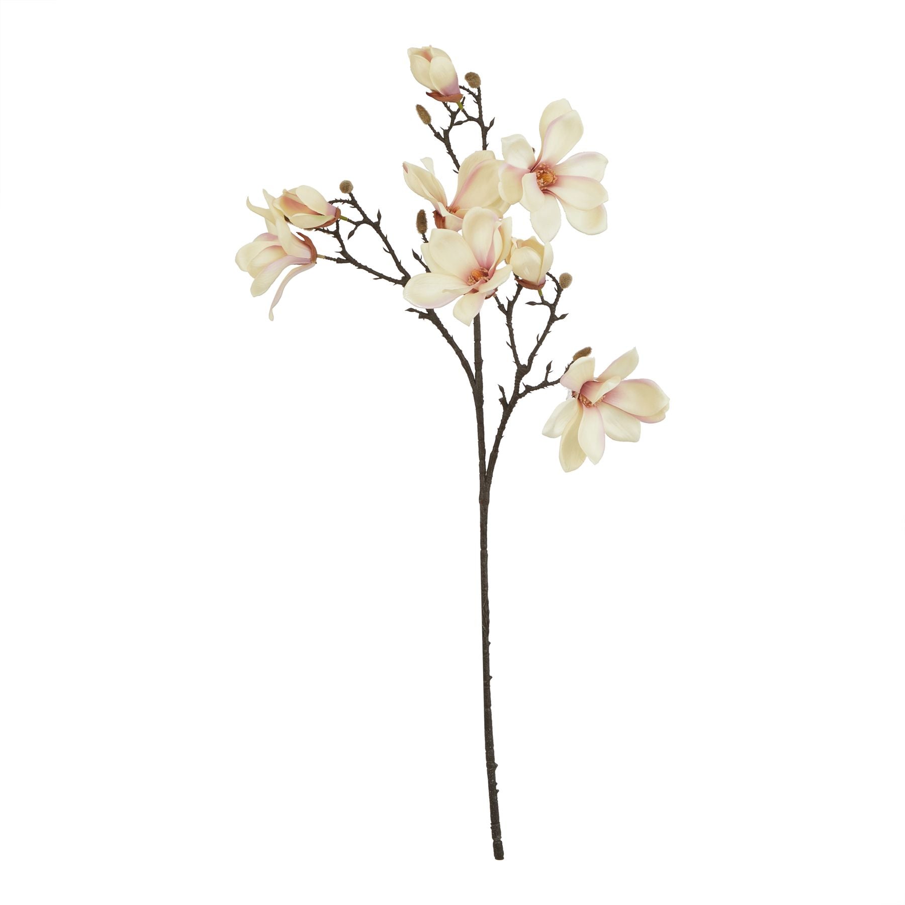 Pale apricot magnolia stem with lifelike blooms, soft creamy highlights, and delicate branches, ideal for elegant decor.