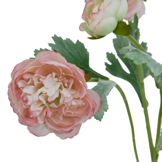 Soft blush pink ranunculus with layered petals and lush green leaves, designed for timeless elegance in home decor.