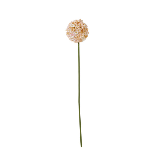 Sophisticated artificial white and apricot Allium flower on a long green stem, adding timeless elegance to any decor.