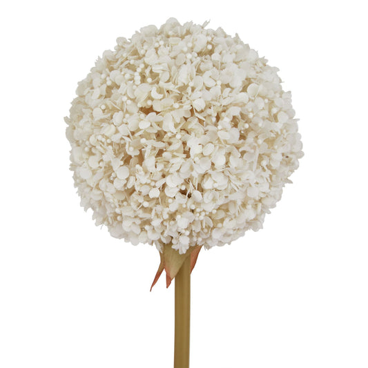 Elegant white allium faux floral stem featuring intricate, star-shaped florets on a slender green stem, enhancing any decor.