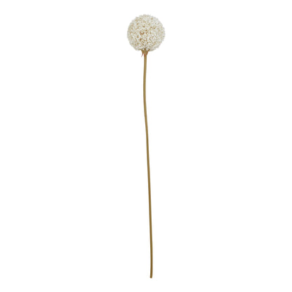 The Natural Garden Collection White Allium - Spring Stems from the Quanta Home collection.
