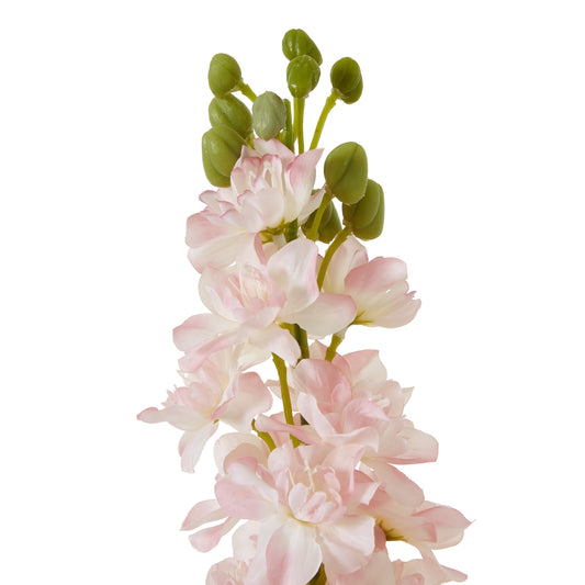 Tall pink Elatum Delphinium with delicate petals and green buds, perfect for elegant home decor or sophisticated arrangements.