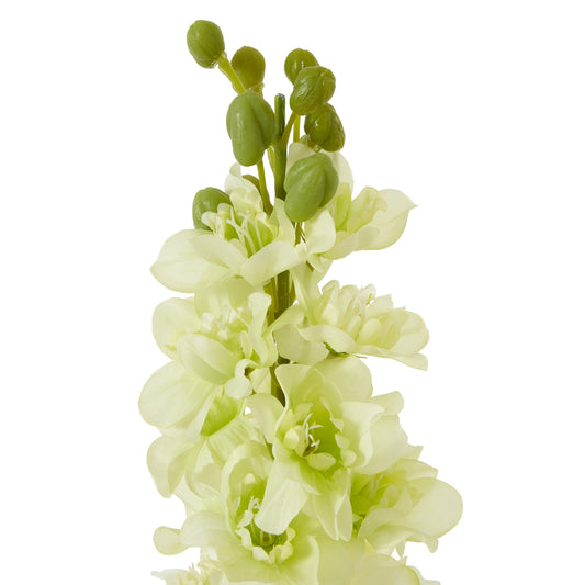 Tall, elegant white Elatum Delphinium with delicate florets and green buds, perfect for adding sophistication to any decor.