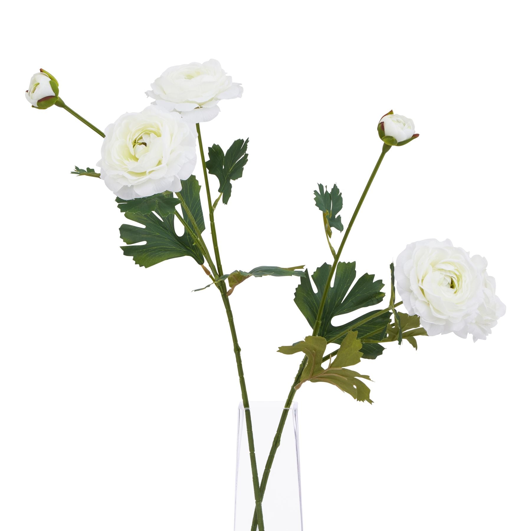 Artificial white Ranunculus flowers with lush green leaves, showcasing multiple blooms and buds in a sleek vase.