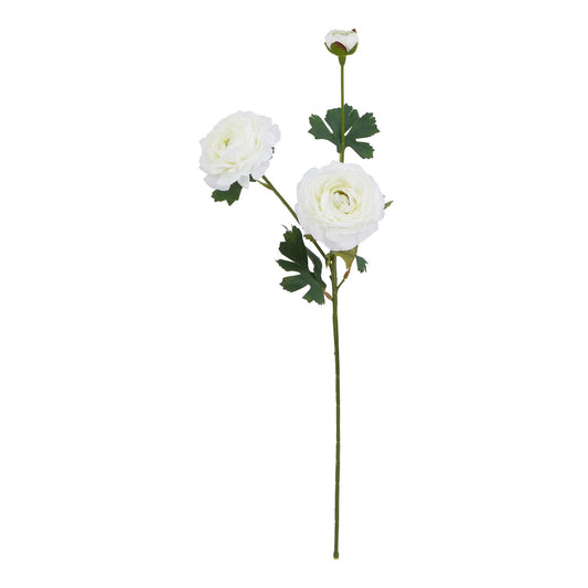 The Natural Garden Collection White Ranunculus - Spring Stems from the Quanta Home collection.