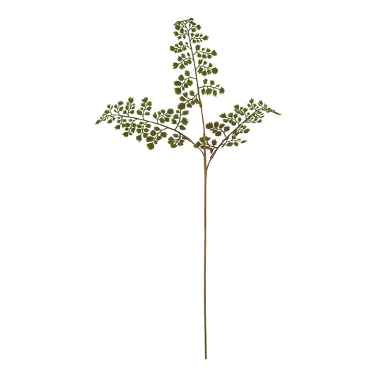 The Natural Garden Collection Maidenhair Fern Stem - All Artificial Flowers from the Quanta Home collection.