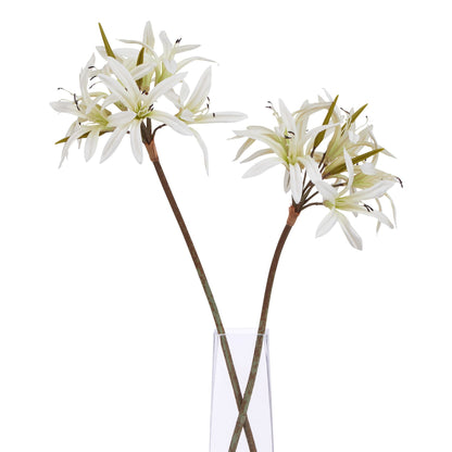 The Natural Garden Collection White Nerine Lily Stem - Single Stem Flowers from the Quanta Home collection.