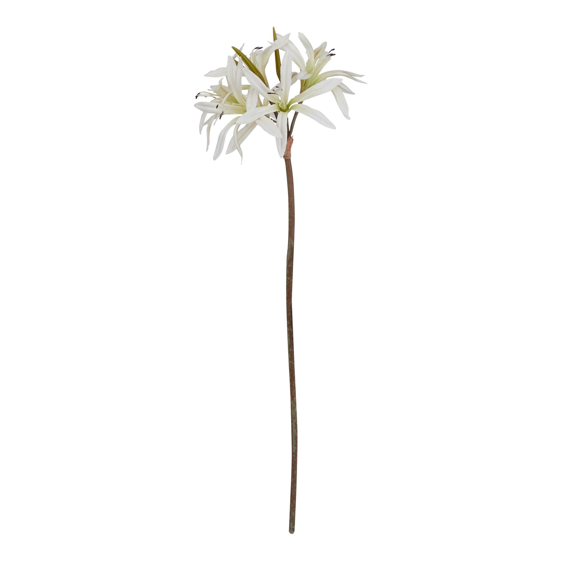 Elegant faux White Nerine Lily Stem showcasing star-shaped florets and slender petals, perfect for sophisticated arrangements.
