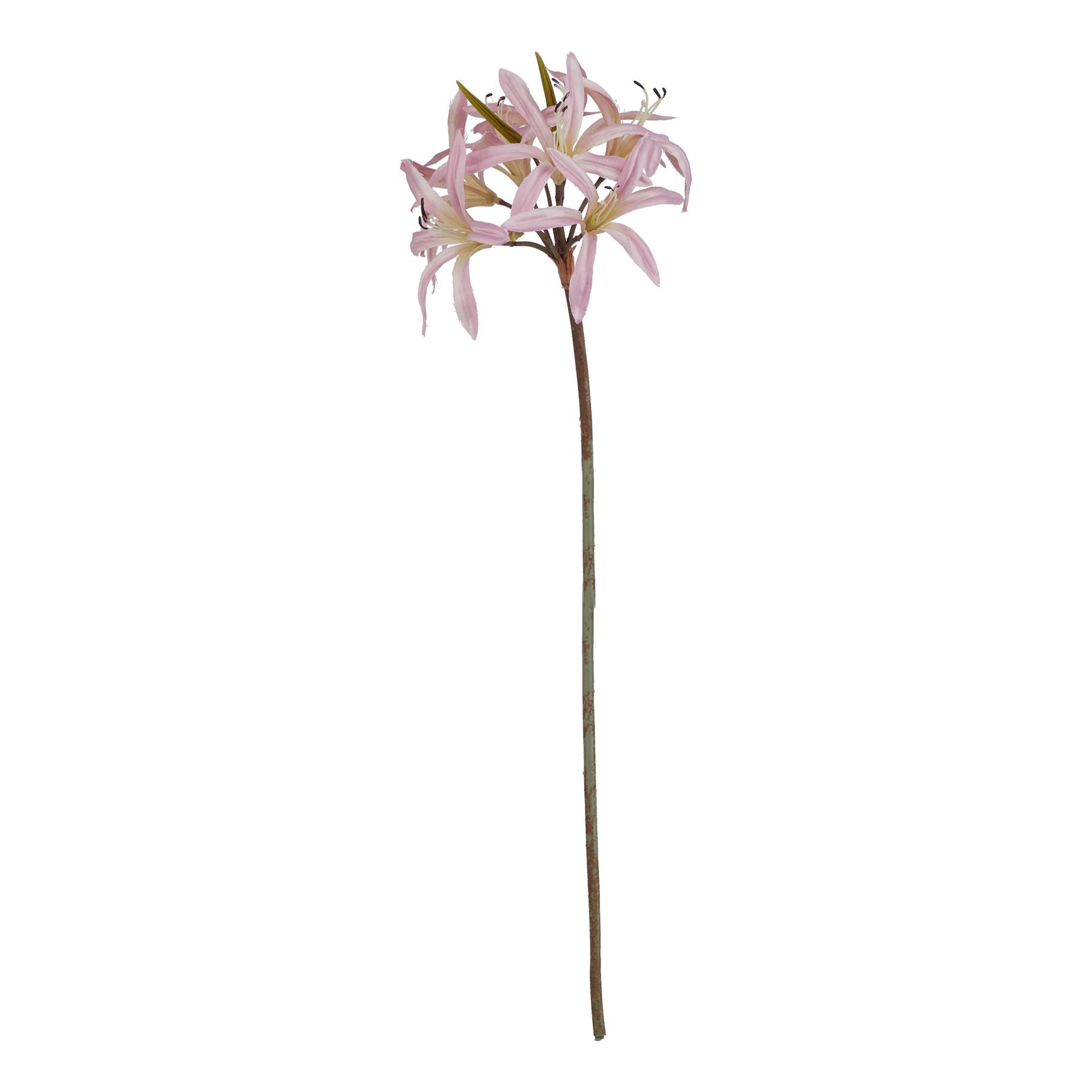 Lifelike pink lily stem with soft blush petals, slender brown stem; ideal for elegant floral displays in various décor styles.