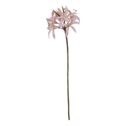 The Natural Garden Collection Pink Lily Stem - Single Stem Flowers from the Quanta Home collection.