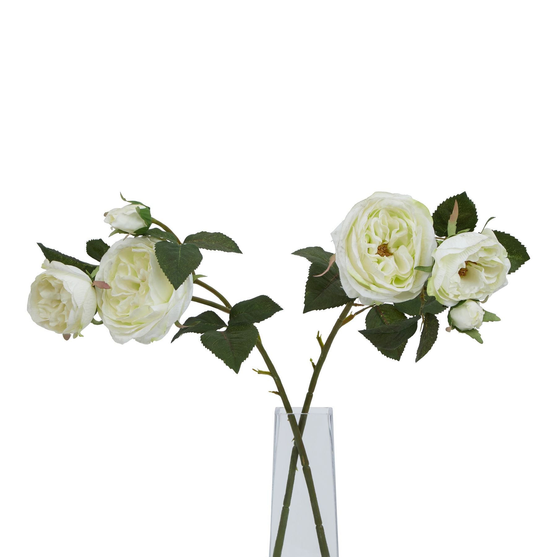 Lifelike, creamy-white charity roses with lush green leaves in a clear vase, perfect for home decor and elegant accents.