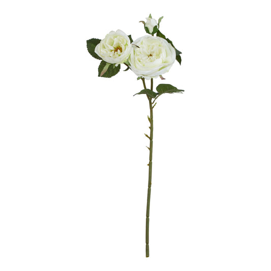 The Natural Garden Collection White Charity Rose - Single Stem Flowers from the Quanta Home collection.