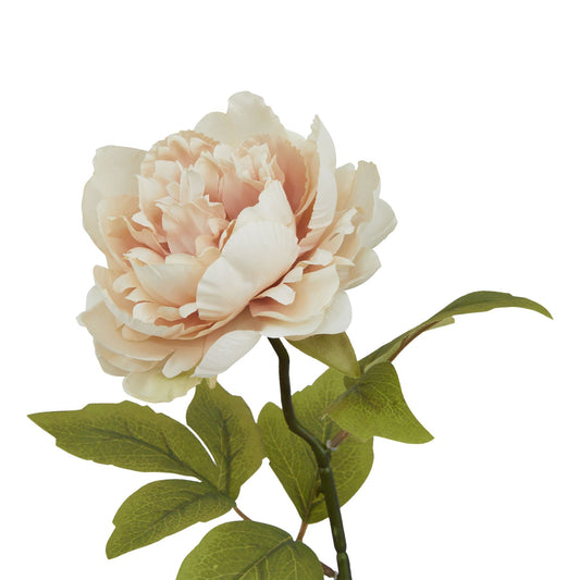 Delicate blush peony with layered petals and vibrant green leaves, ideal for enhancing modern or traditional decor.