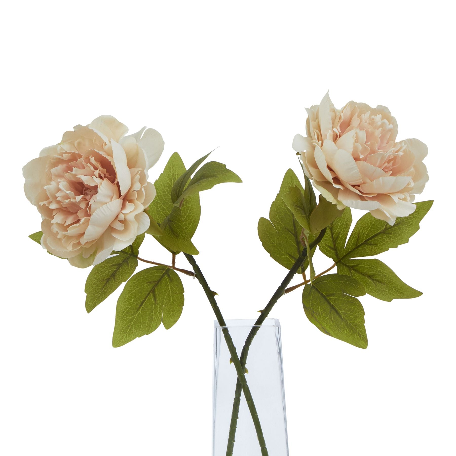 Blush peony stem with lifelike petals and lush green leaves in a clear vase, perfect for elegant home decor.