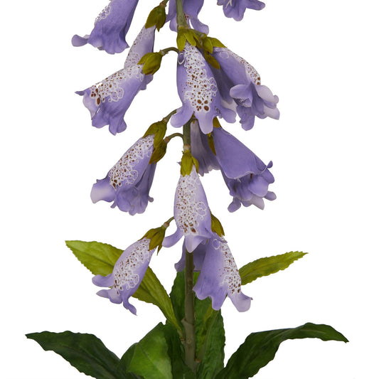 Elegant mauve foxglove stem featuring detailed, muted flowers and lush green leaves, perfect for sophisticated decor.