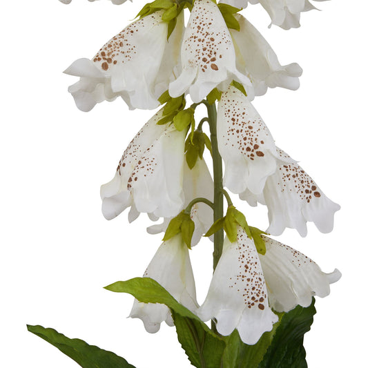 Elegant white foxglove with intricate veining, featuring bell-shaped flowers and lush green leaves, perfect for any decor.