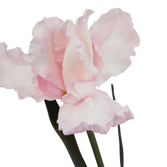 Pale pink artificial iris with delicate fringed petals, offering timeless elegance and sophisticated beauty for home decor.