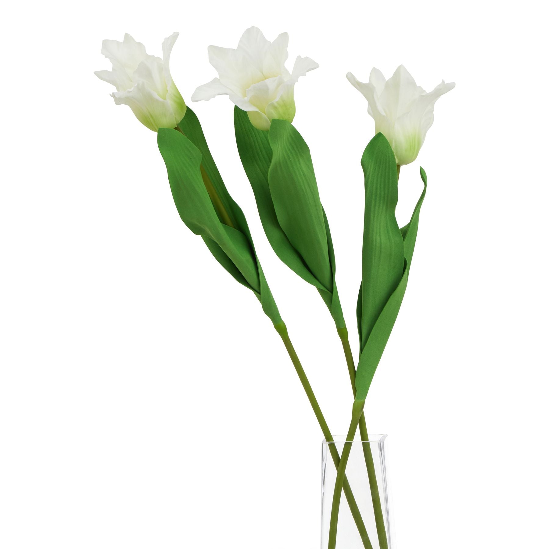 Lifelike white parrot tulip stems with delicate petals and vibrant green leaves, perfect for elegant floral arrangements.