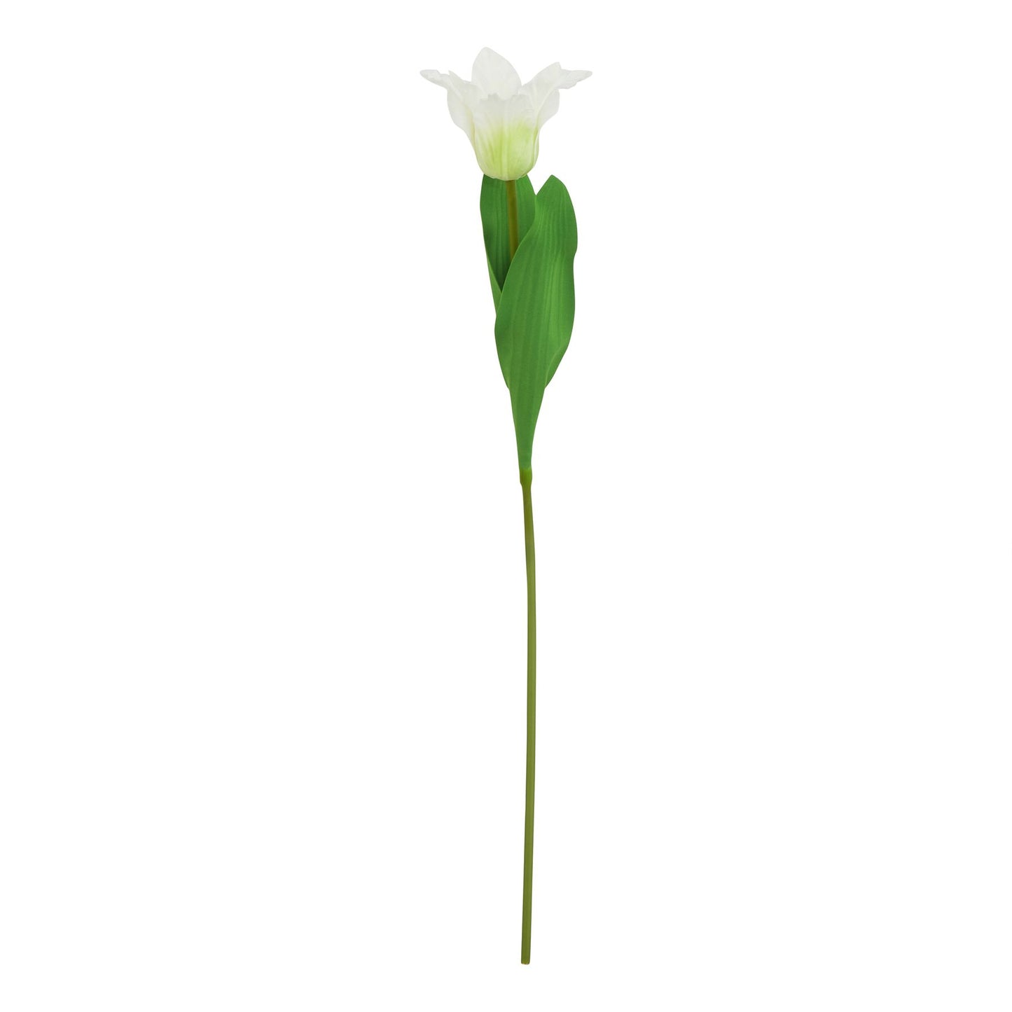 Lifelike white parrot tulip stem with intricate detailing and green leaves, perfect for elegant floral arrangements.